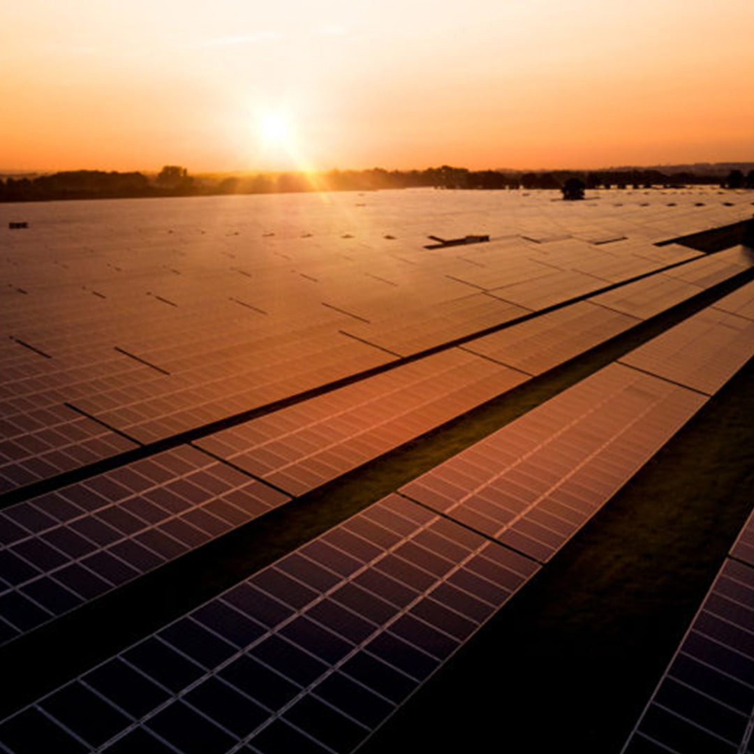 Bör mitt företag investera i solceller?